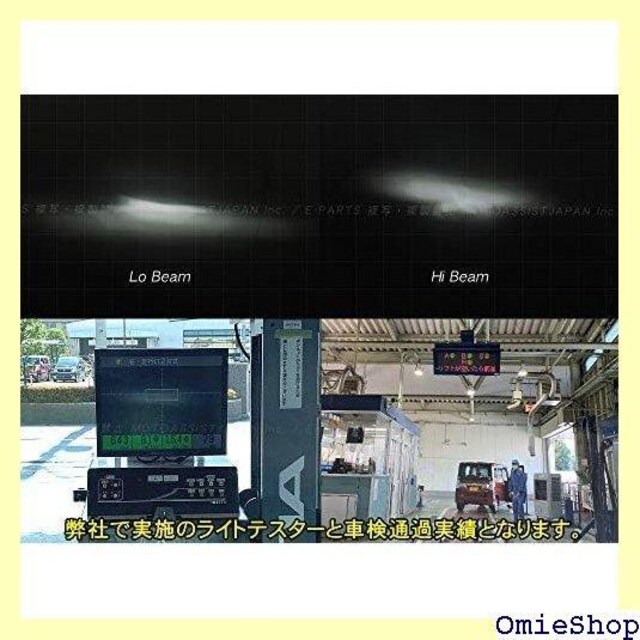 VALUE PRO FIGHTER LED ou H DC24VԑΉ l֎ I[goC gbN EV 128  /oCN