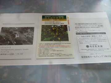 }_z[fBOX 񐔏ԏ(S)2025N531