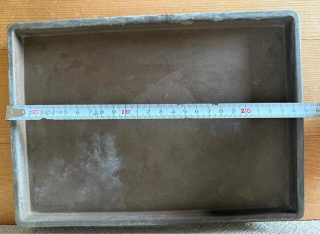 ~͔ ^  24.5cm lp D i Ô퐻`  ybg/|/| 