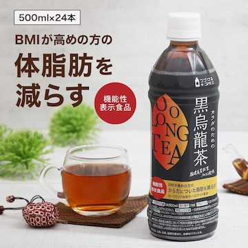 y24{zJ_̂߂̍G 500ml  @\\Hi