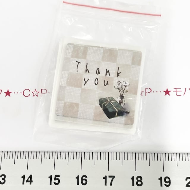 23*610ʁ@XebJ[V[@8   CeA/Ct 