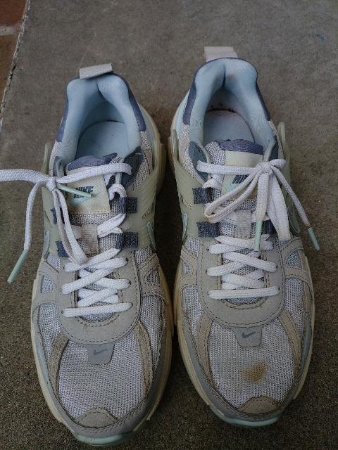 NIKE Xj[J[ Q5cm   uh 