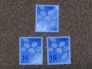 16~؎ 3 ʐ؎