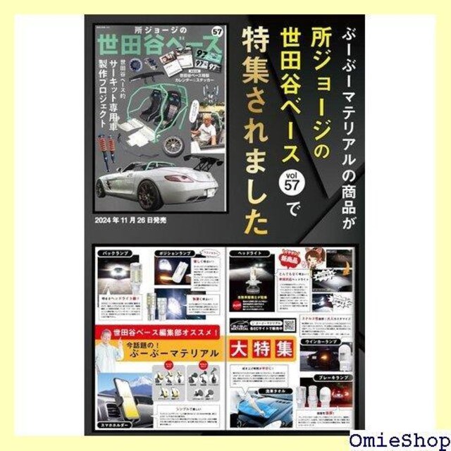 ԁ[ԁ[}eA T10 31 mm LED [ 20[ 12V dH ɐ ԌΉ 2 176  /oCN