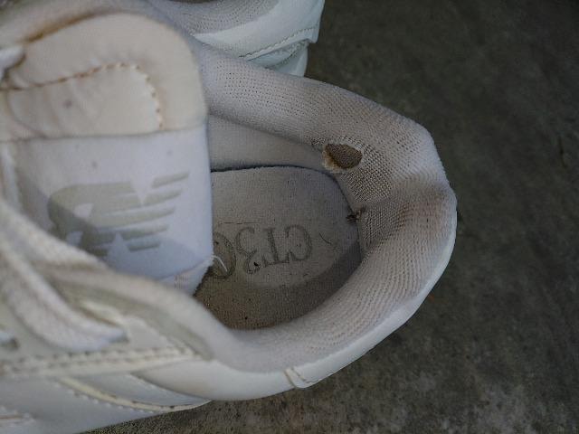 new balance(j[oX)CT302CLA WHITE   24cm    Xj[J[  uh 