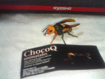 `RQ@Aj}eCY7  IIXYo`  RE̖