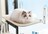 【新商品】小型&中型サイズキャットウィンドウベッド | 折りたたみ式キャットウィンドウハンモック | 折りたたみ可能