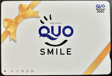  NIJ[h QUOJ[h 3000~ ʏ핿 1 |Cg