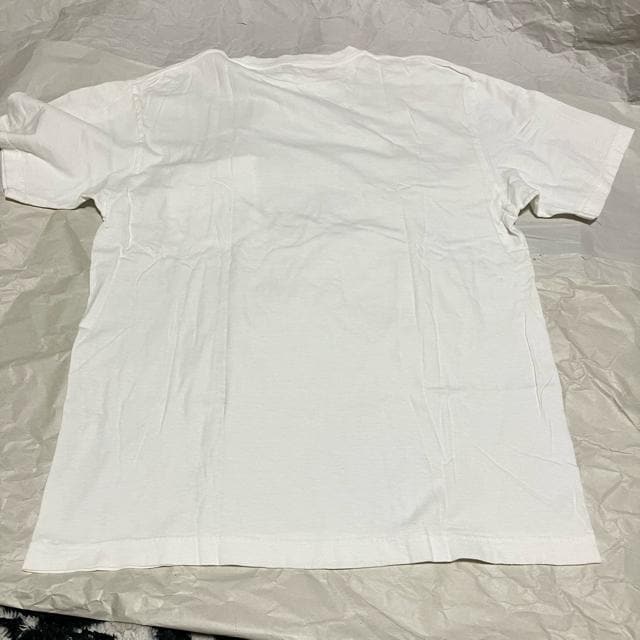yPOINTER BRAND / |C^[uhz TVc / M 40  jt@bV 