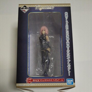 tBMA Fate Grandorder ΖborjA Xg  ̉  }VELGCg Ԃ