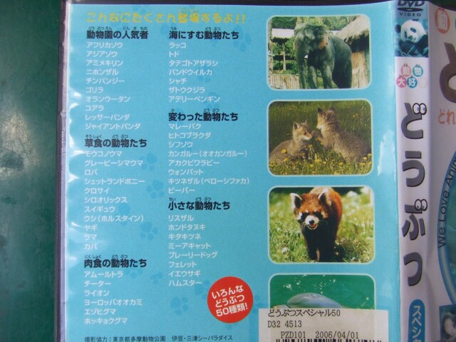 cDVD@@ǂԂD@cEwN  CD/DVD/rfI 