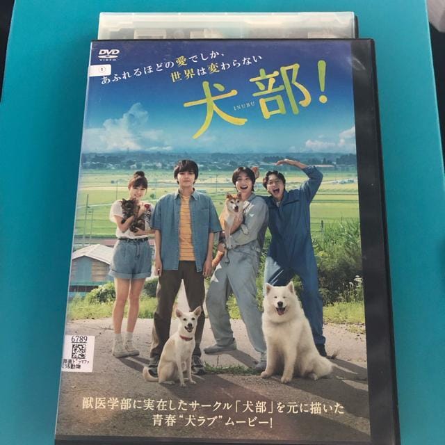 @DVD 