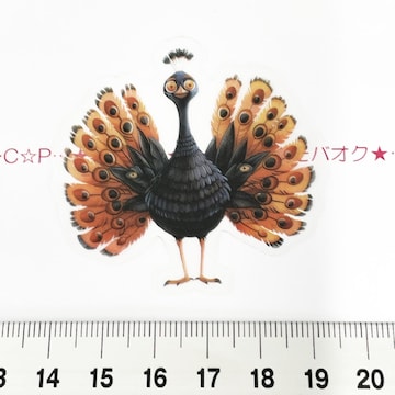 14*װޭف۳݁cȐ@5