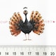 14*װޭف۳݁cȐ@5