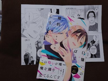 BL[tbgtỹƍ񂵂܂zSXna