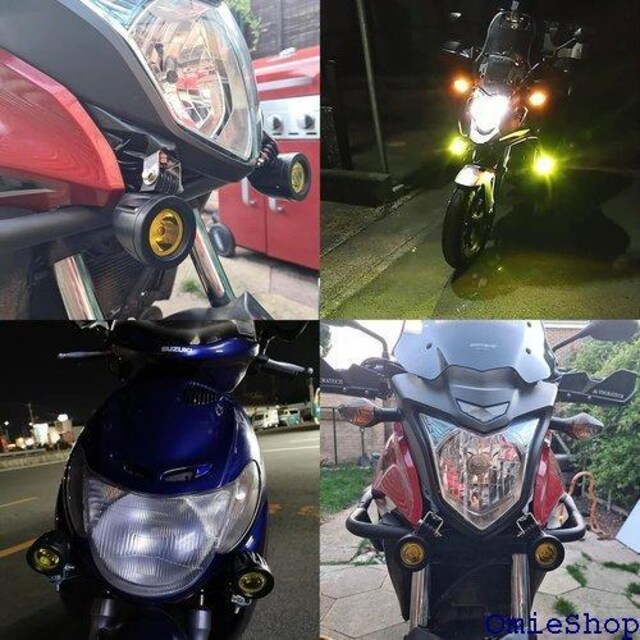 X-STYLE oCN ledtHOv F 10 gbNpi ėpƓ p XCb`t 2Zbg 356  /oCN