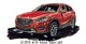 NC-088}c_CX-5ŉTCzƕE