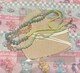 }XN@}XN`F[@gp