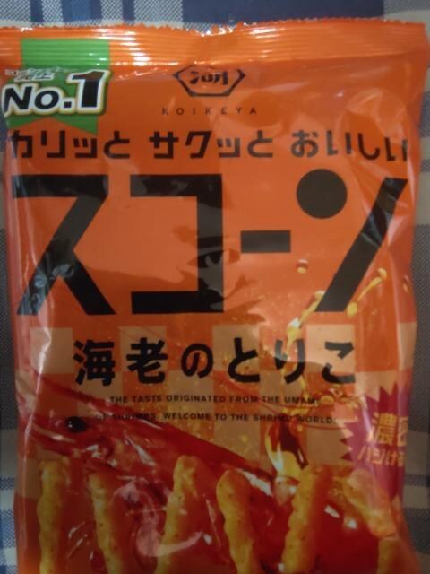 XR[CV̂Ƃ肱   O/hN 