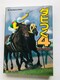 _r4@_[r[n낤I@Rv[gKCh@U{@Ł@Let's Become Derby Owner Guide