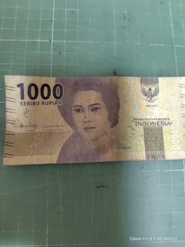 ChlVA1000sA