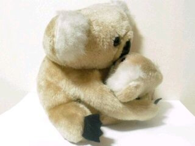 L[gyeqRAzʂ2Zbg   