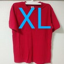 n̐ԐFXLTCYe[Vc1