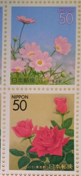 50~؎~2@RXX@o