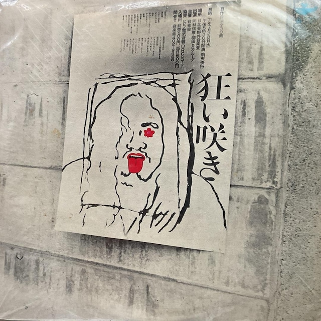 ѐMNEcqO[v / 炫   CD/DVD/rfI 