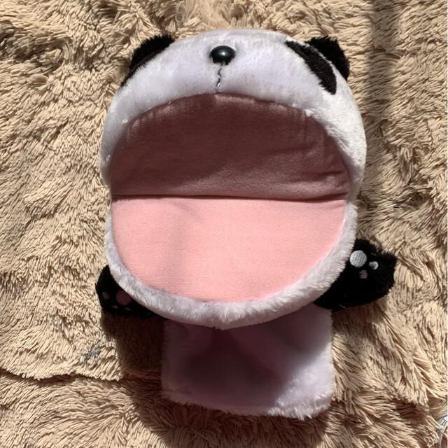 p_@pybg    