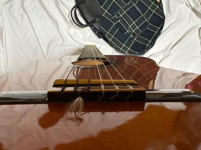 [I@Abe Gut Guitar f520 P[Xt1933-05-1  zr[ 