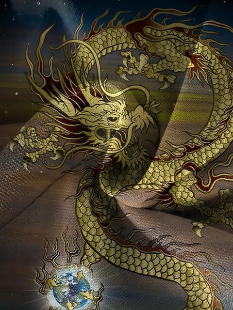 890~Men's Dragon Print TVcAJWAȔ tr`TCYri{TCYkj