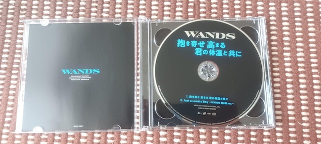 WANDSu ܂ N̑̉Ƌ () (DVDt)v  CD/DVD/rfI 