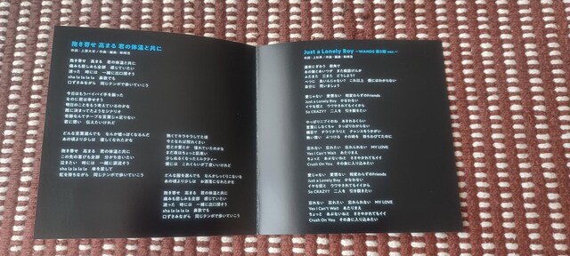 WANDSu ܂ N̑̉Ƌ () (DVDt)v  CD/DVD/rfI 