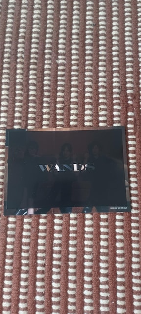 WANDSu ܂ N̑̉ƋɁvʏ  CD/DVD/rfI 