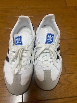 ^w@adidasXj[J[@ҏ