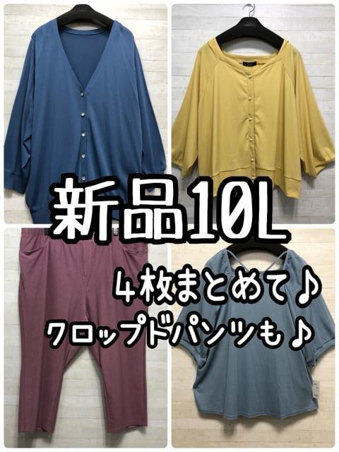 Vi10LJ[fBKELѐLуNbvhpc4܂Ƃ߂āQ253   t@bV 