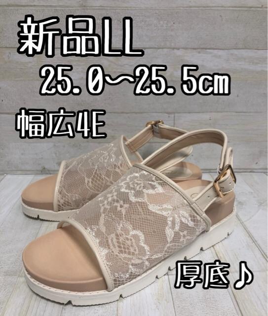 ViLL25.0p25.5cmL4E􃌁[XꂢT_D785   t@bV 