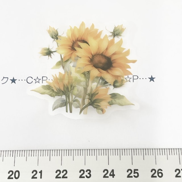 10*R[WV[6   CeA/Ct 