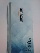 Amazon1000~Vi