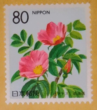 80~؎~1@LO؎聙@n}iX@kC