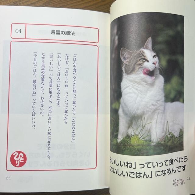 ֓l 킹˂ \ RR閂@̌t@yPs{z  {/G 