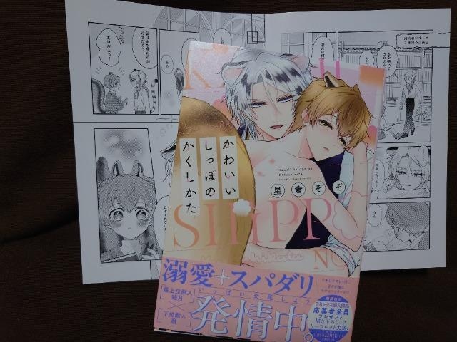 BL[tbgty킢ۂ̂zq   Aj/R~bN/LN^[ 