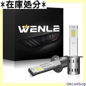 WENLE VK ^TCY+18000LM H 6500K DC12VԑΉ mCYȂ E2{ 324
