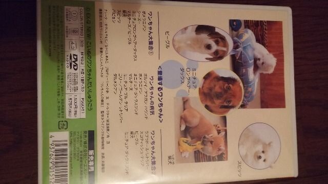 DVD \tg@NEW@ʂ̃񂾂イ@  CD/DVD/rfI 