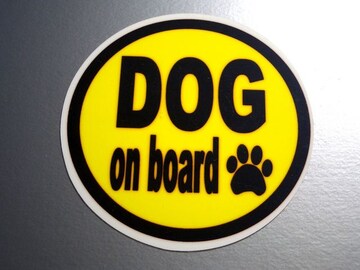 DOG on boardCG[XebJ[Ă܂ϐV[