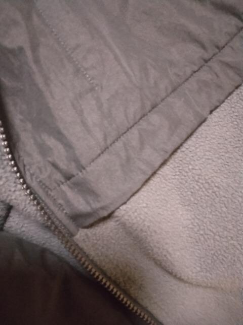 Vi[hINTELECTIONfGt[X~^t^ t[htّfރJWAgR[g49500~ݔ̔