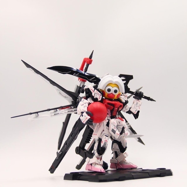 y؁zMGSD XgCN[W ]ʃfJ[t vf g SEED  zr[ 