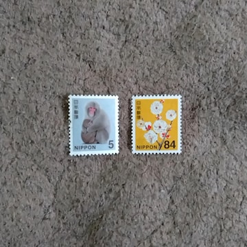 5~؎@1&84~؎@1
