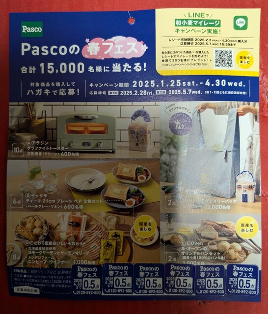PascȍttFXv[g@V[ 